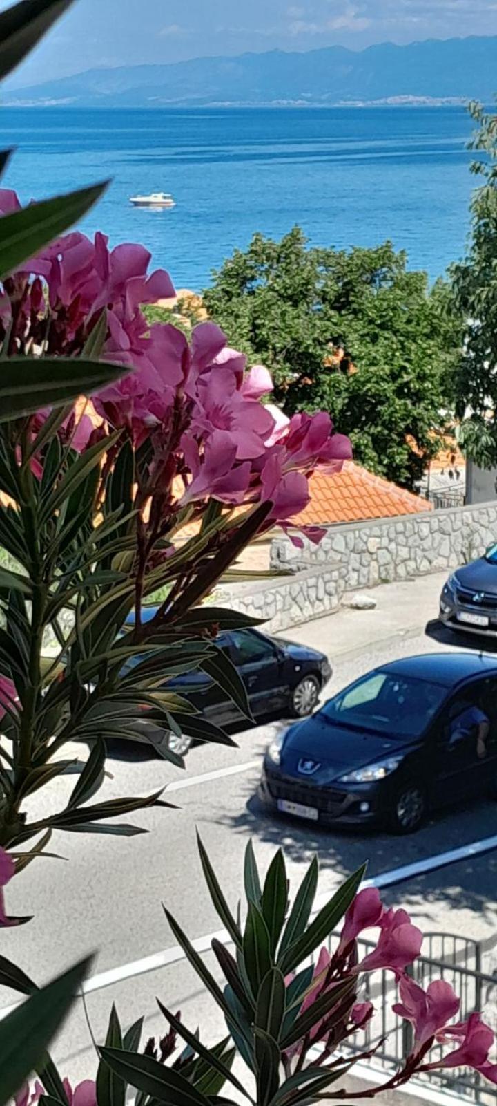 Apartment Danica Szentgyörgy Kültér fotó